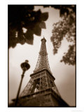 Vista desde abajo de la Torre Eiffel (Francia) Print por Rick Raymond