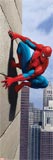 Spider-Man Posters